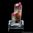 Elbaite Tourmaline - image 2