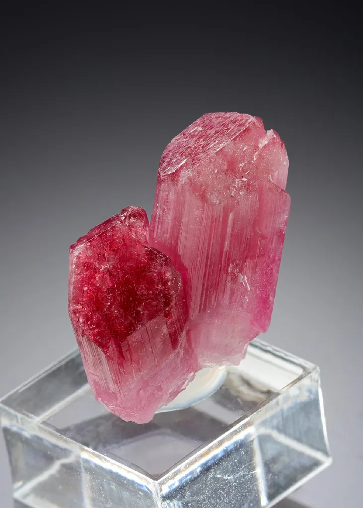 Elbaite Tourmaline image