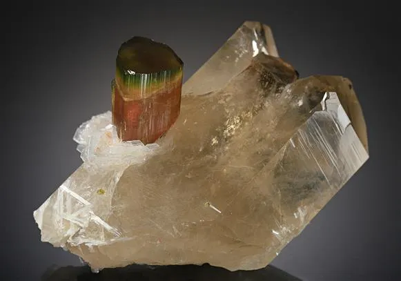 Elbaite Tourmaline image