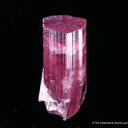 Elbaite Tourmaline - image 1