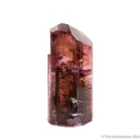 Elbaite Tourmaline - image 1