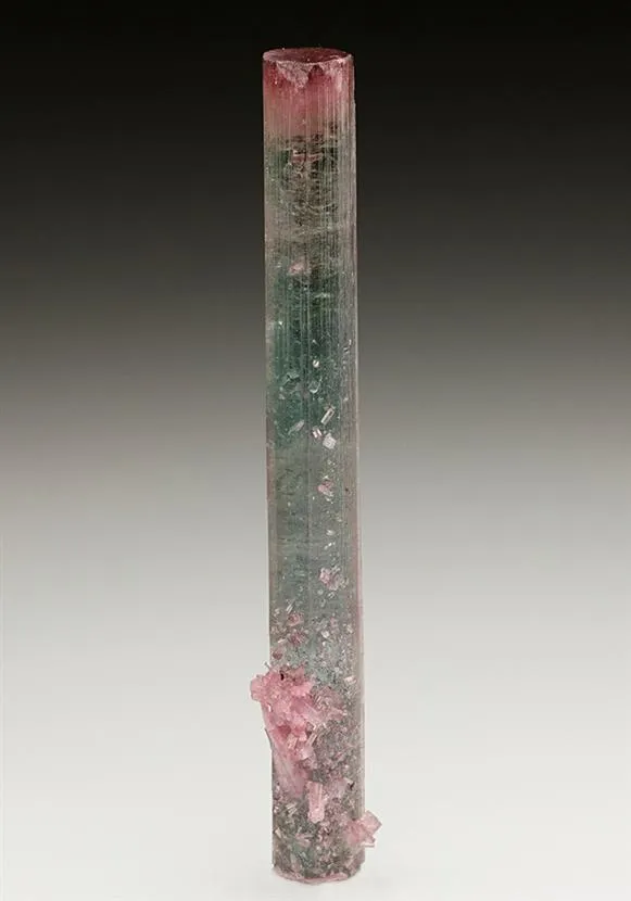 Elbaite Tourmaline image