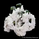 Elbaite Tourmaline and Lepidolite in Cleavelandite - image 4