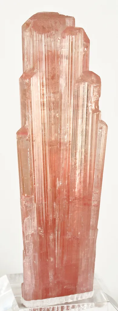 Elbaite Tourmaline image