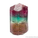 Elbaite Tourmaline - image 1