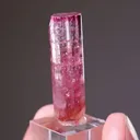 Elbaite Tourmaline - image 2