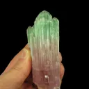 Elbaite Tourmaline - image 4