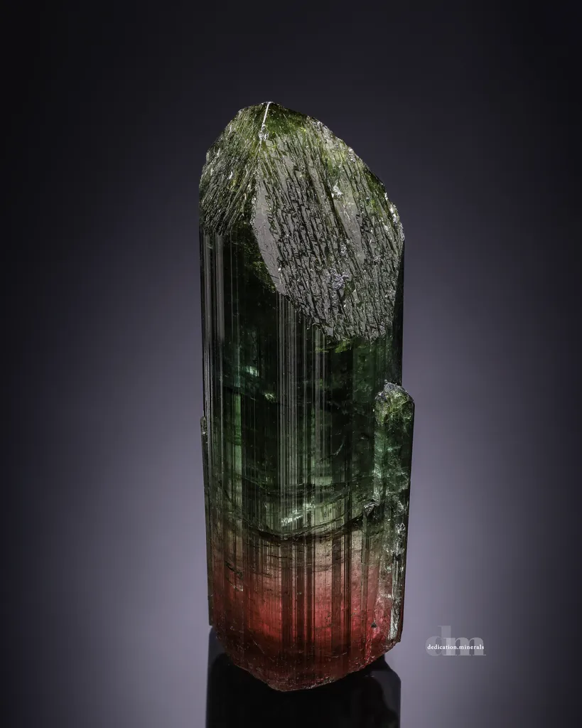 Elbaite Tourmaline image