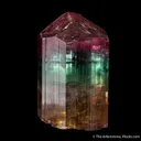 Elbaite Tourmaline - image 4