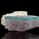 Elbaite Tourmaline (blue cap) with Albite - image 1