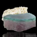 Elbaite Tourmaline (blue cap) with Albite - image 2