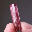 Elbaite Tourmaline - image 2