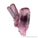 Elbaite Tourmaline - image 3