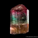 Elbaite Tourmaline - image 5