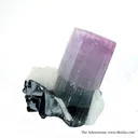 Elbaite Tourmaline, Cassiterite, and Albite - image 2