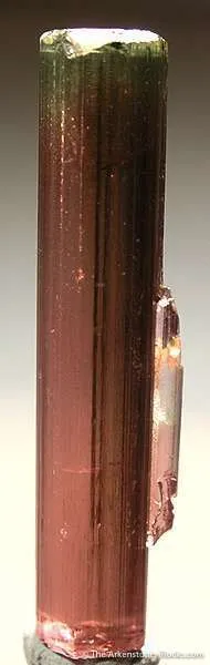 Elbaite Tourmaline image