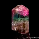 Elbaite Tourmaline - image 3