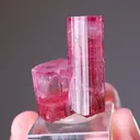 Elbaite Tourmaline - image 2