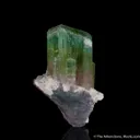 Elbaite Tourmaline - image 4