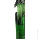 Elbaite Tourmaline - image 3