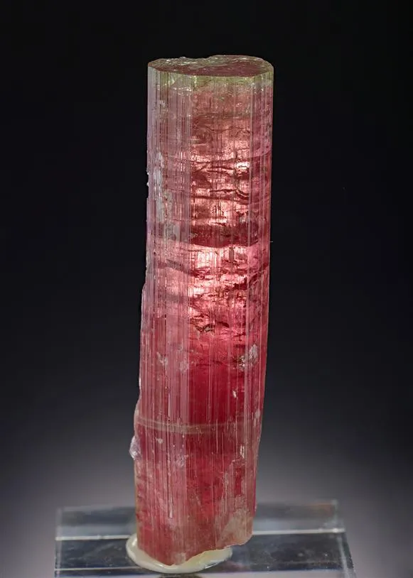 Elbaite Tourmaline image
