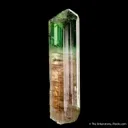 Elbaite Tourmaline - image 4