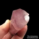 Elbaite Tourmaline (DT) - image 3