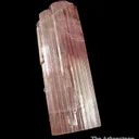 Elbaite Tourmaline (DT) - image 4