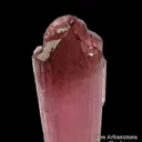 Elbaite Tourmaline (DT) - image 6