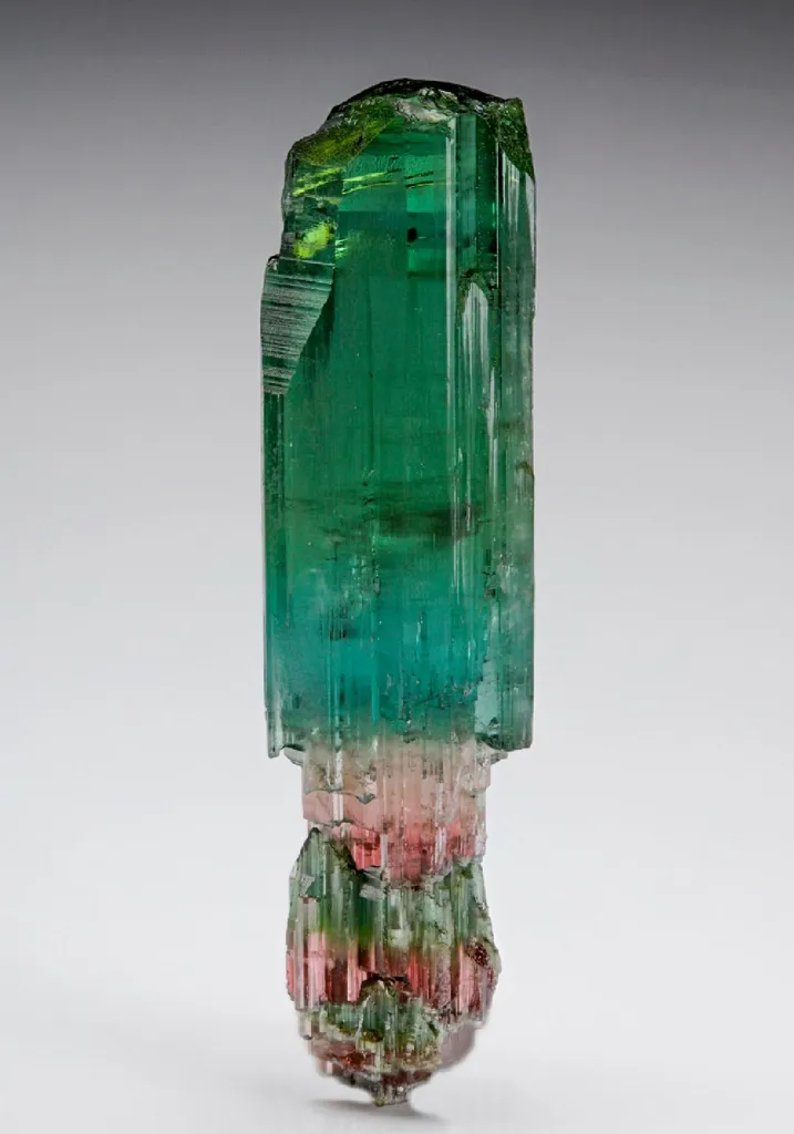 Elbaite Tourmaline image