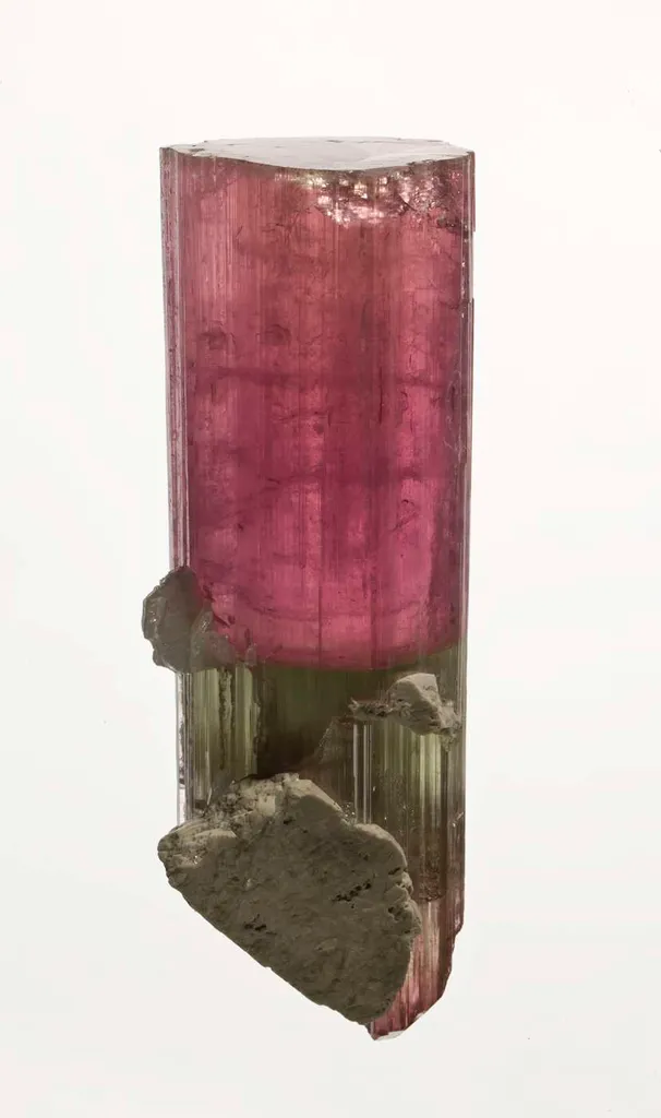 Elbaite Tourmaline image