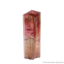 Elbaite Tourmaline - image 1