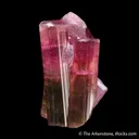 Elbaite Tourmaline - image 1
