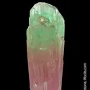 Elbaite Tourmaline - image 3