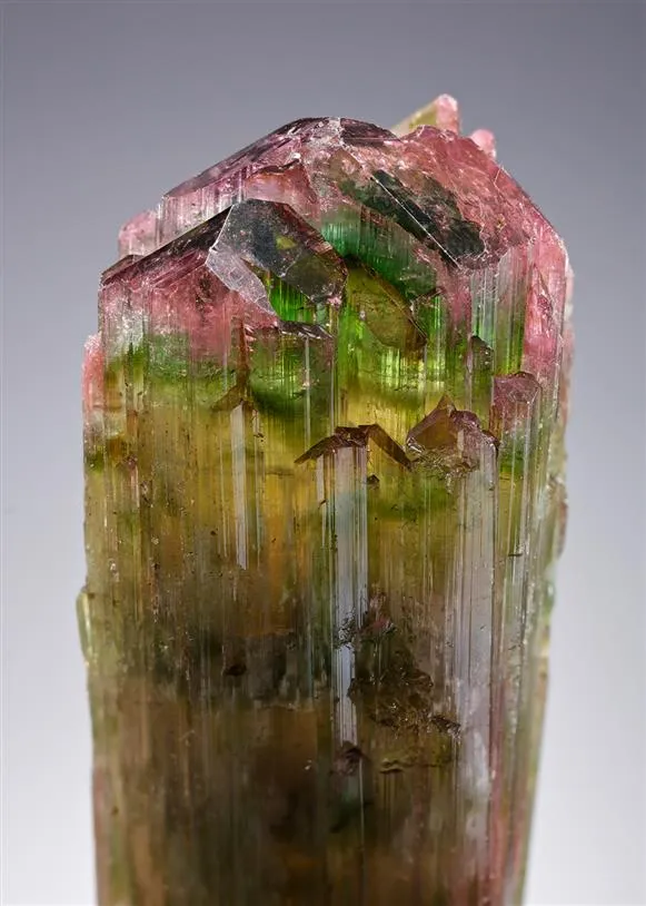 Elbaite Tourmaline image