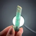 Elbaite Tourmaline - image 2