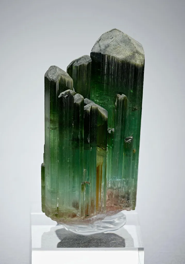 Elbaite Tourmaline image