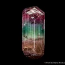 Elbaite Tourmaline - image 2