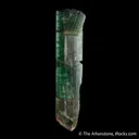 Elbaite Tourmaline - image 6
