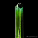Elbaite Tourmaline - image 2