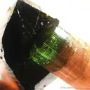 Elbaite Tourmaline (Floater!) - image 4