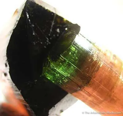 Elbaite Tourmaline (Floater!) - image 4