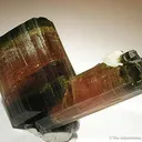 Elbaite Tourmaline (Floater!) - image 2