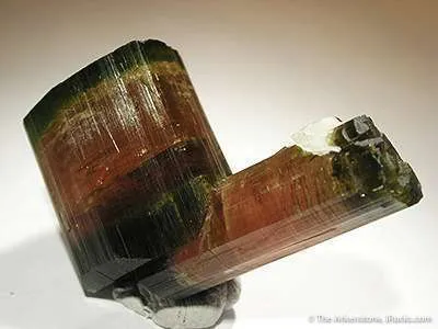 Elbaite Tourmaline (Floater!) - image 2