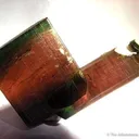 Elbaite Tourmaline (Floater!) - image 3