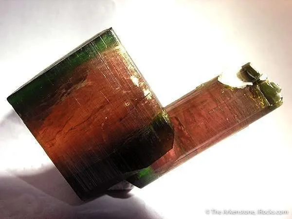 Elbaite Tourmaline (Floater!) - image 3