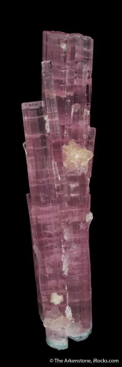 Elbaite Tourmaline (floater cluster) - image 5