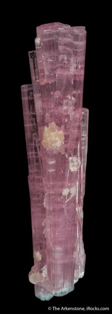 Elbaite Tourmaline (floater cluster) - image 4