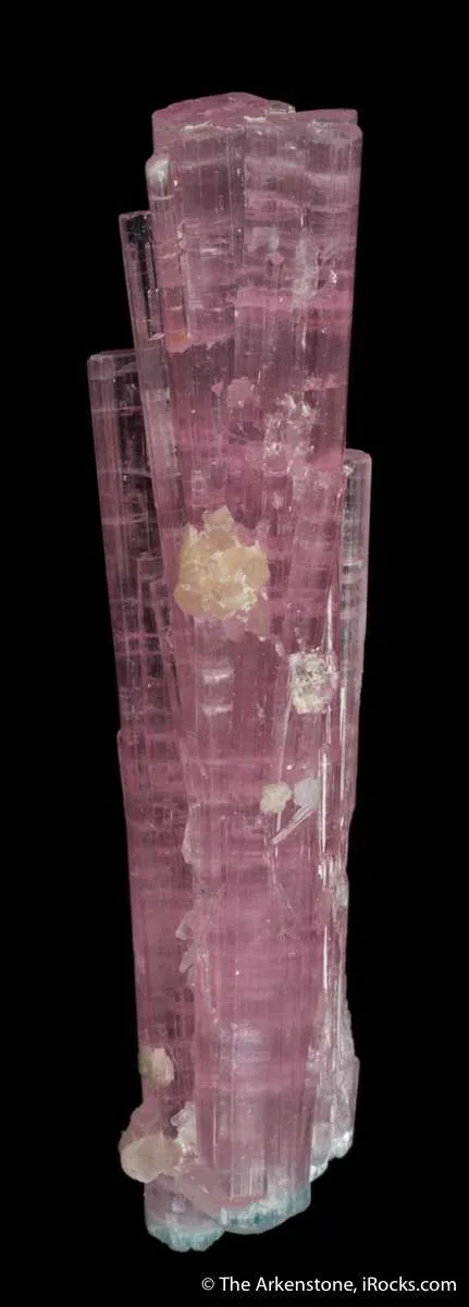 Elbaite Tourmaline (floater cluster) - image 4
