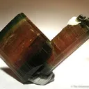 Elbaite Tourmaline (Floater!) - image 1